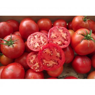 Tomate Merveille des Marchés