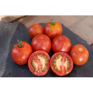 Tomate Tigerella