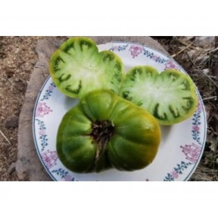 Tomate Ananas vert