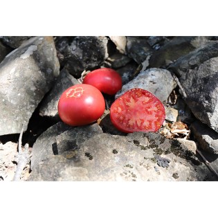 Tomate Levée d'Hypothèque