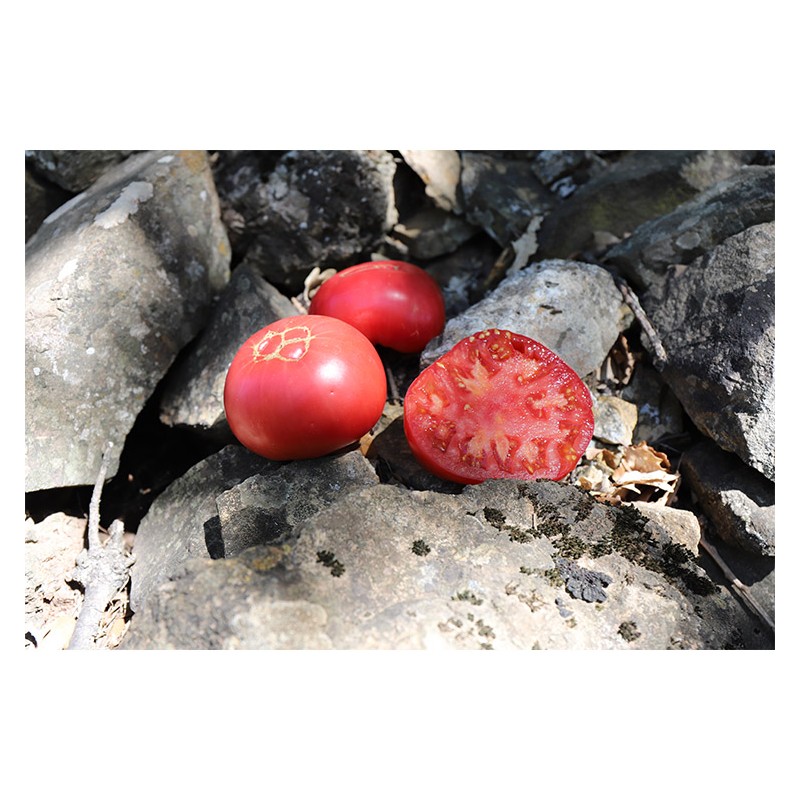 Tomate Levée d'Hypothèque