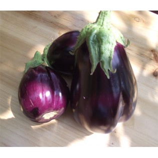 Aubergine beauté noire