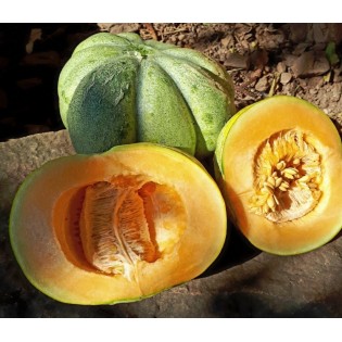 melon bellegarde