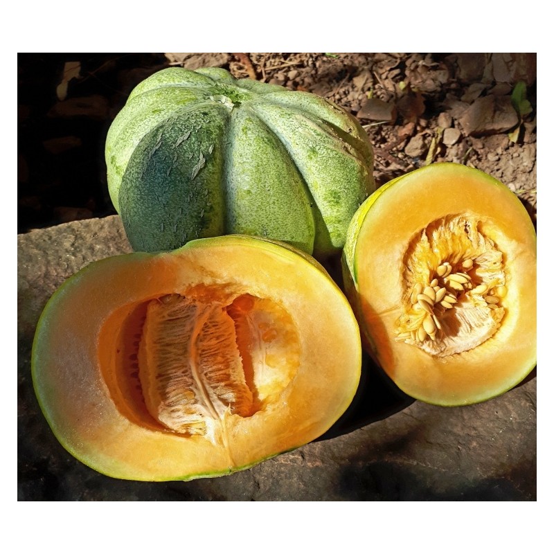 melon bellegarde