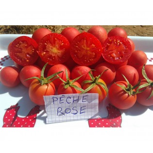 Tomate Pêche rose