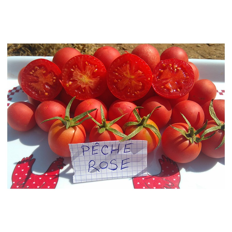 Tomate Pêche rose