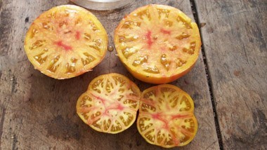 Tomates Verte / Jaune - Orange / Blanche