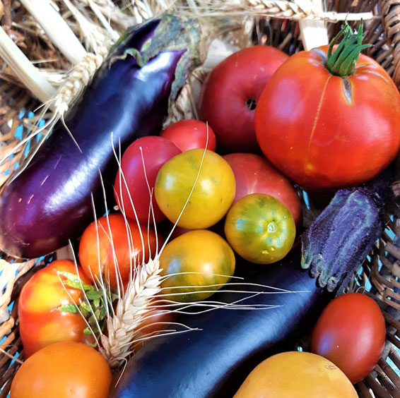 Légumes fruits